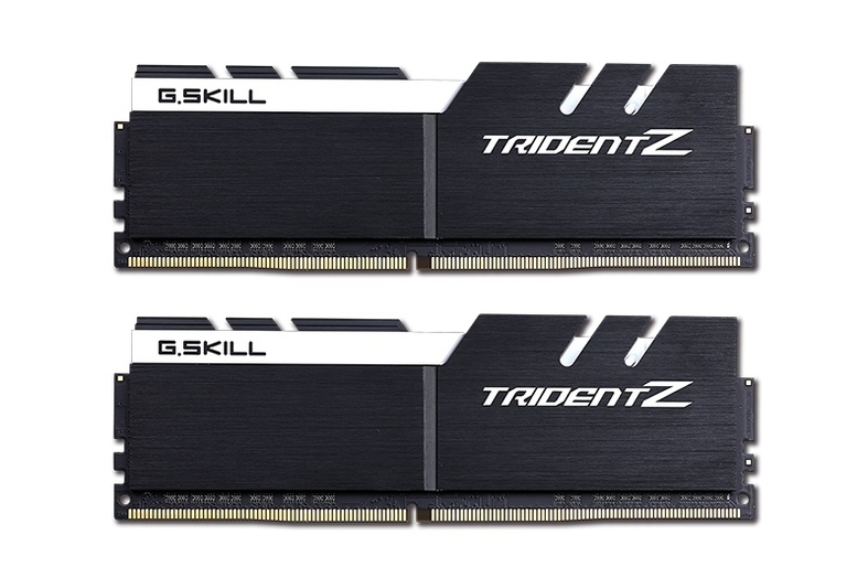 Оперативная память G.SKILL TRIDENT Z BLACK-WHITE DDR4 32GB (2x16GB) 3200MHz (F4-3200C16D-32GTZKW)