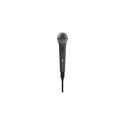 Микрофон RITMIX RWM-101, черный