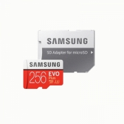 Карта памяти MicroSDXC Samsung EVO Plus 256Gb (MB-MC256HA/RU)