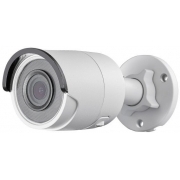 Видеокамера IP Hikvision DS-2CD2043G0-I