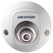 Видеокамера IP Hikvision DS-2CD2543G0-IWS