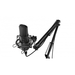 Микрофон RITMIX RDM-169