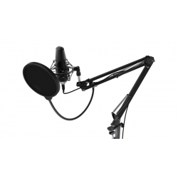 Микрофон RITMIX RDM-169