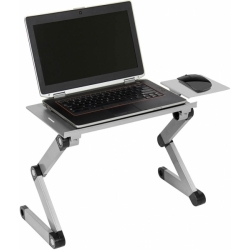 Стол для ноутбука Cactus CS-LS-T8 (27x42см)