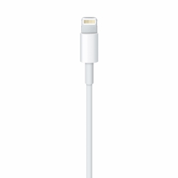 Lightning to USB Cable (1 m)