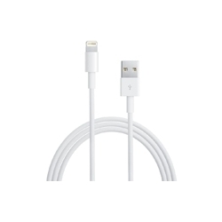 Apple Lightning to USB cable (0.5 m)