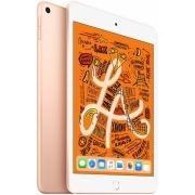 iPad mini Wi-Fi 256GB - Gold