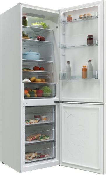 Холодильник Candy CCRN 6200 W белый