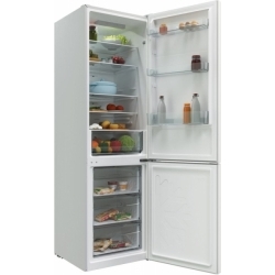 Холодильник Candy CCRN 6200 W белый