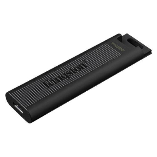 USB флешка KINGSTON DataTraveler Max 256GB (DTMAX/256GB)