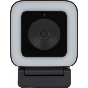 Web-камера Hikvision DS-UL4 черный