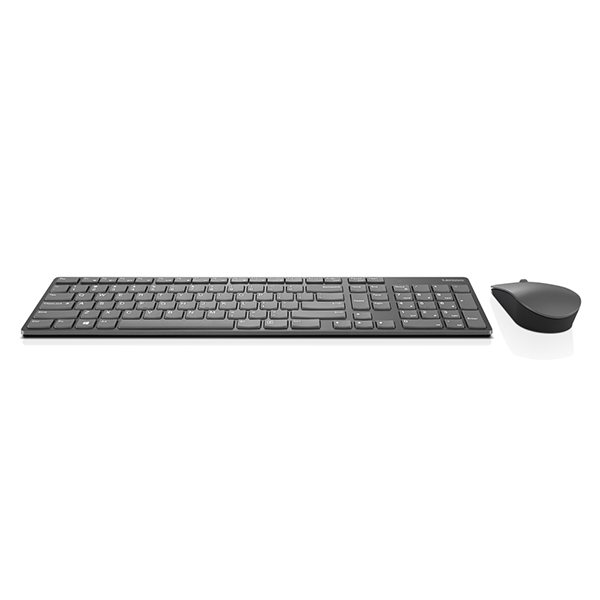 Беспроводная клавиатура/мышь LENOVO PROFES. RUS 4X30T25796, серый 