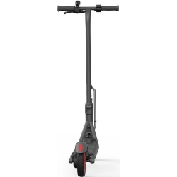 Электросамокат Ninebot by Segway KickScooter C20, серый
