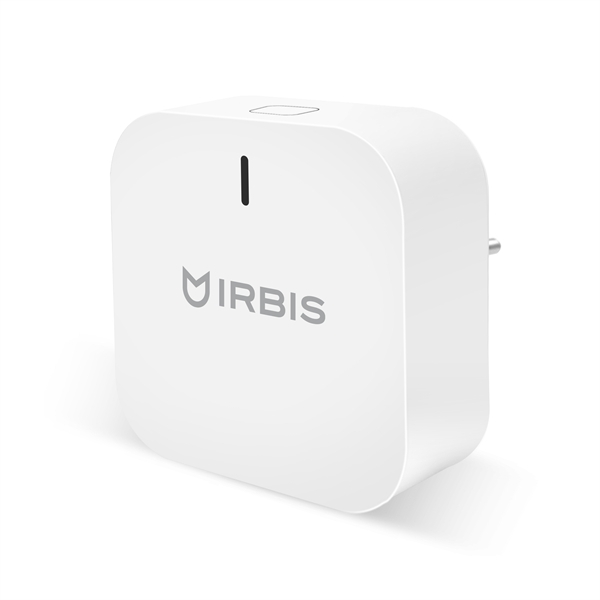 Центральный контроллер IRBIS IRHH10