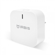 Центральный контроллер IRBIS IRHH10