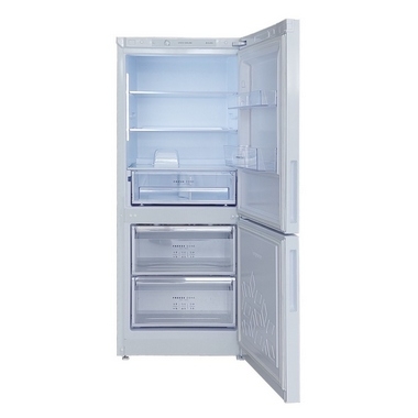 Холодильник Бирюса B-6041 