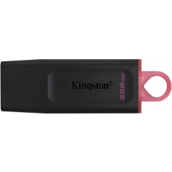 USB флешка Kingston DataTraveler Exodia 256Gb (DTX/256GB)