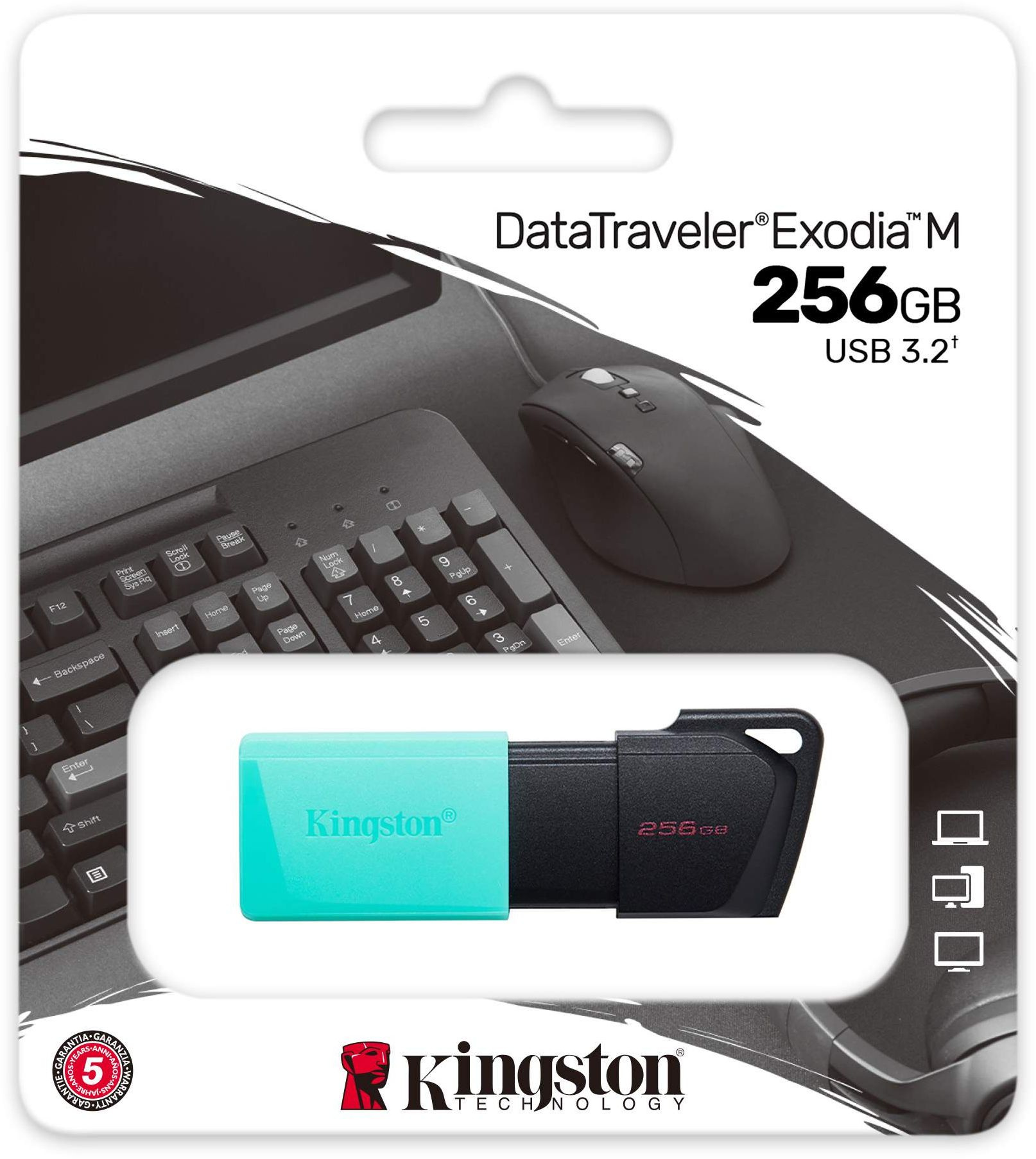 Флешка Kingston 256Gb DataTraveler DTXM/256GB черный/красный