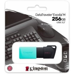 Флешка Kingston 256Gb DataTraveler DTXM/256GB черный/красный