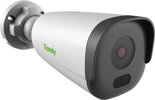 Камера видеонаблюдения IP Tiandy TC-C32GN, белый