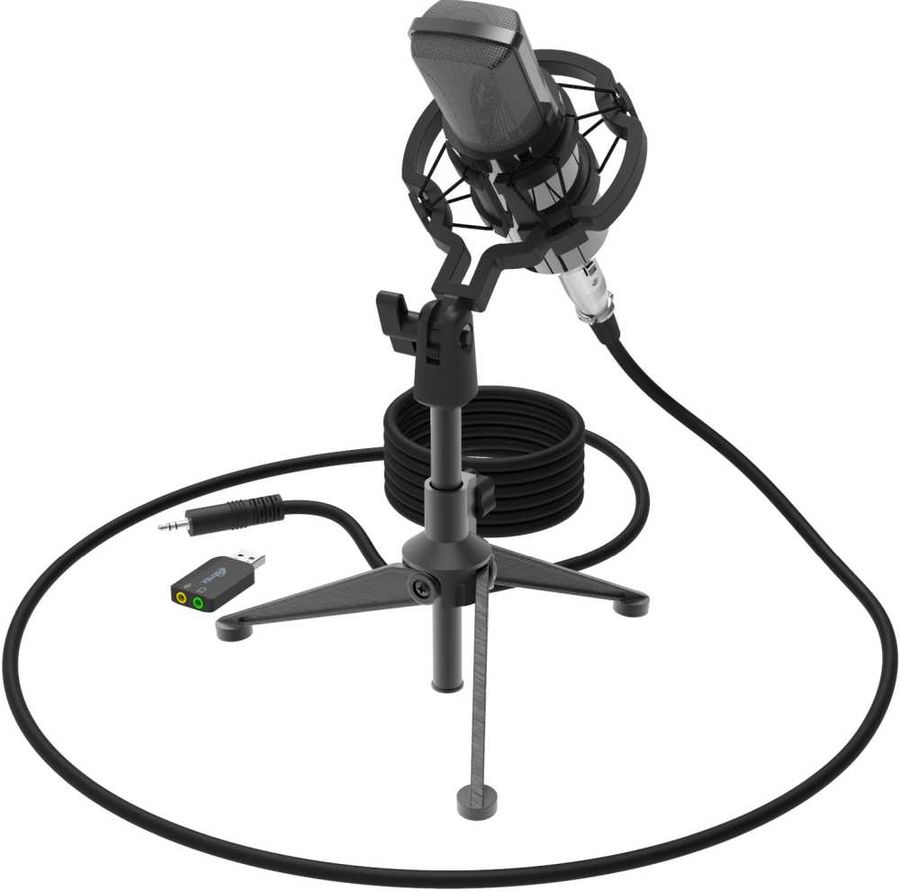 Микрофон Ritmix RDM-160 черный (80000132)