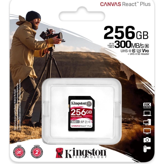 Флешка SDXC Kingston 256Gb (SDR2/256GB)