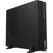 Компьютер MSI Pro DP130 11-062XRU черный (9S6-B0A511-479)