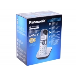 Телефон DECT Panasonic KX-TGE510RUS, серебристый