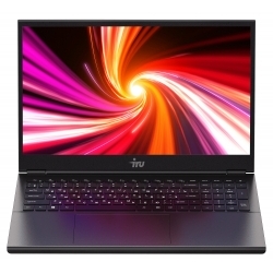 Ноутбук IRU Калибр 17TLI серый 17.3