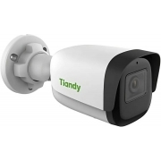 Камера видеонаблюдения IP TIANDY TC-C34WS I5/E/Y/2.8mm/V4.0, белый