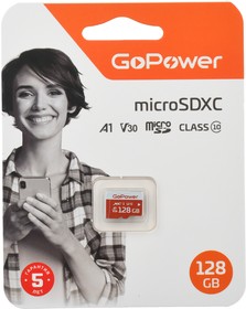 Карта памяти GoPower 128GB 00-00025683