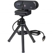 Веб-камера Exegate EX294484RUS черный