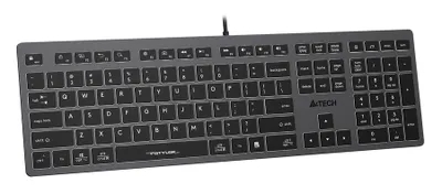 Клавиатура A4Tech Fstyler FX60 серый (1789315)