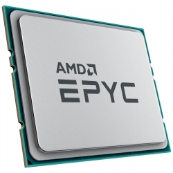 CPU AMD EPYC 7443P, 1 year