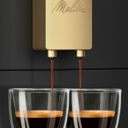 Кофемашина Melitta Caffeo Purista F230-103 черный