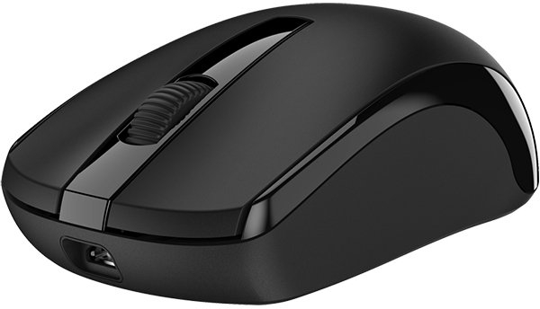 Мышь Genius ECO-8100, черная (31030004400)