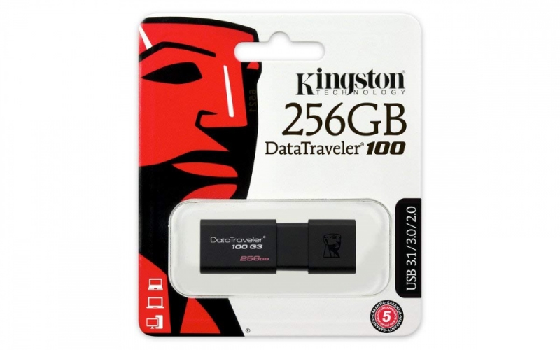 Флешка Kingston DataTraveler 100 G3 256GB (DT100G3/256GB)