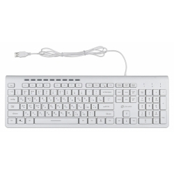 Клавиатура Oklick 490ML, белый (1067205)