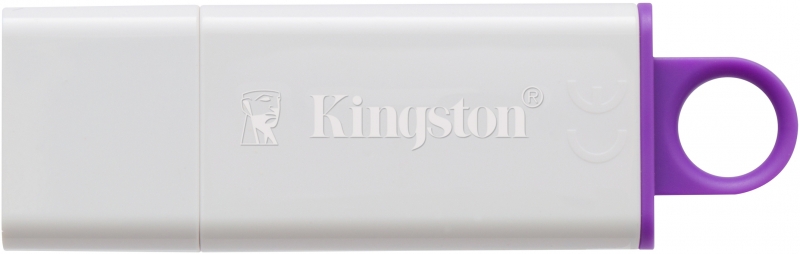 Флешка Kingston DataTraveler G4 64GB