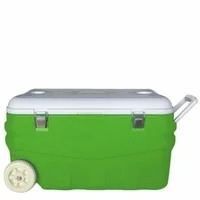 Автохолодильник Арктика 2000-80 зеленый/белый