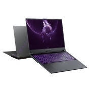 Machenike S16 i7-12700H/RTX3060 6G/16G*1 DDR4/512G SSD/WQHD 100%SRGB 165Hz/Purple Logo/AX201/single section 15color Russian keyboard/DOS