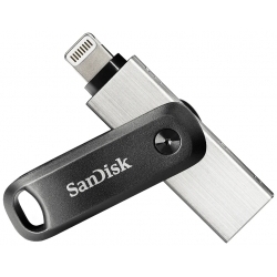 Флеш-накопитель SanDisk SDIX60N-256G-GN6NE